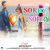 About Sorry Sorry Song